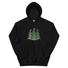 Load image into Gallery viewer, Desi Witches Hoodie