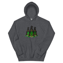 Load image into Gallery viewer, Desi Witches Hoodie