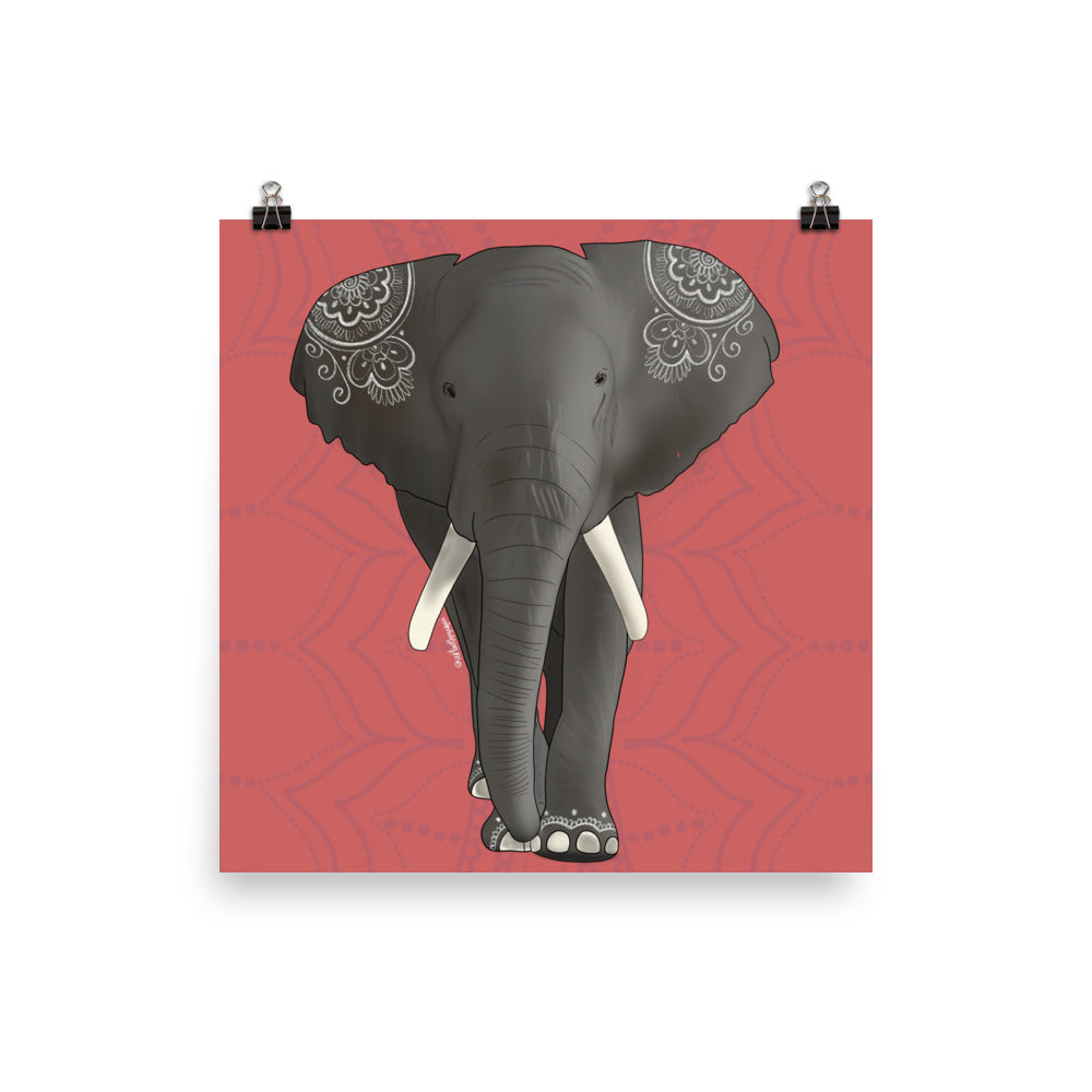 Desi Elephant Print