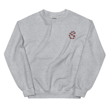 Load image into Gallery viewer, Embroidered Candy Cane Paisley Sweatshirt
