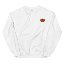 Load image into Gallery viewer, Embroidery Pumpkin Sweatshirt
