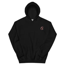 Load image into Gallery viewer, Embroidered Candy Cane Paisley Hoodie
