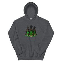 Load image into Gallery viewer, Desi Witches Hoodie
