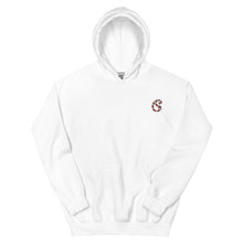 Load image into Gallery viewer, Embroidered Candy Cane Paisley Hoodie

